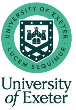 Digital Business and New Technology BEM3016DA